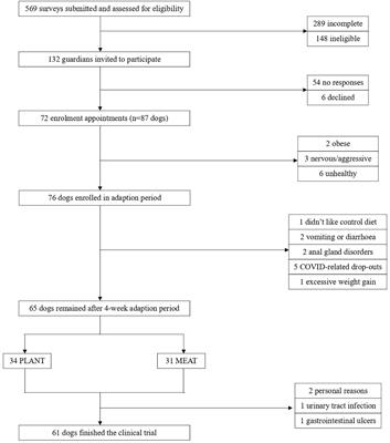 Extruded diet macronutrient digestibility: plant-based (vegan) vs. animal-based diets in client-owned healthy adult dogs and the impact of guardian compliance during in-home trials